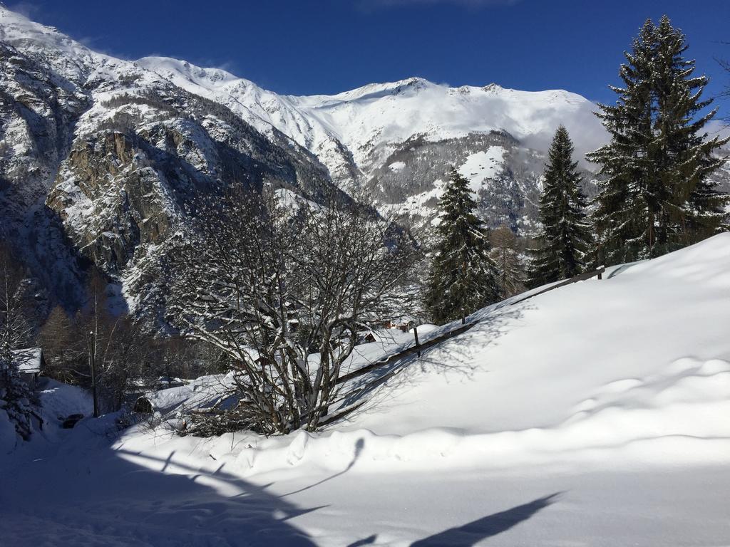 Chalet Du Chef Grächen Екстериор снимка